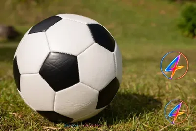 Bay Collective acquires majority stake in Sunderland AFC Women