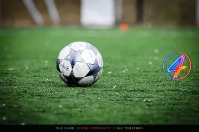 Hearts stelt Wouter Vrancken aan als nieuwe hoofdcoach