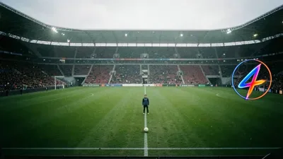 Schotland zoekt frisse start met Belgisch Pocognoli als opvolger van Clarke